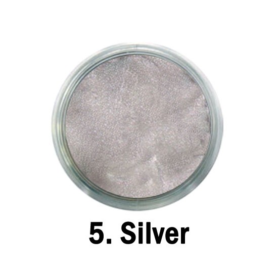 Acril Paint - 05 - Silver